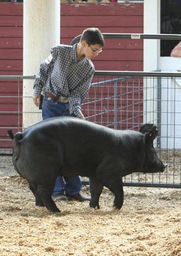 Wasco County Fair sees big 4-H turnout