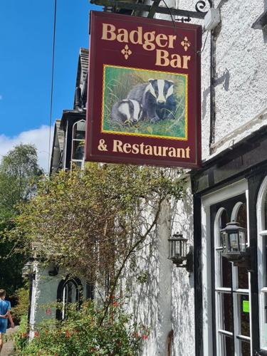 Police are investigating the theft of a stuffed badger from a Lake District bar.