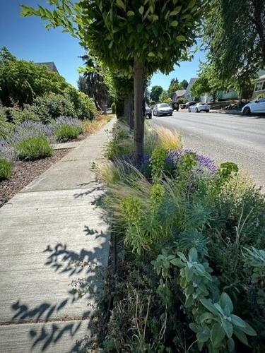 trees and plants.jpg