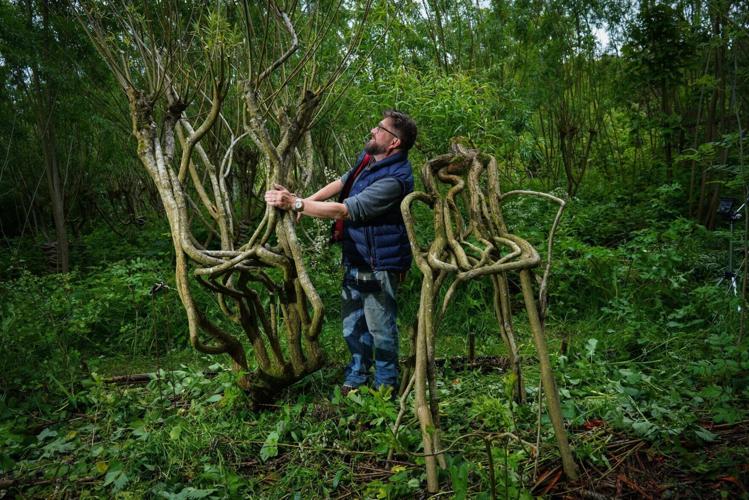 Couple run Britain’s first furniture orchard growing chairs on trees