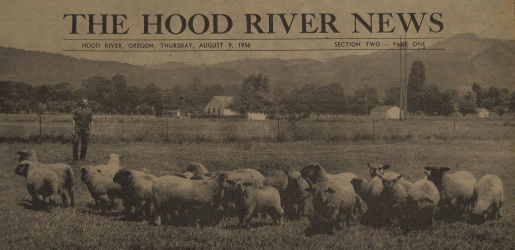 Yesteryears: Forest fires close campgrounds, Highway 35 in 2006