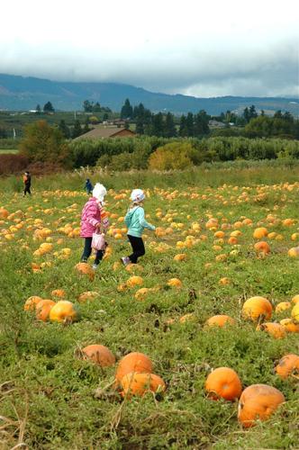 Rasmussen’s renews visitors with beauty and spirit