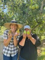 Grow a Pear! Sense of Place event to take place Feb. 21