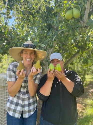 Grow a pear.jpg