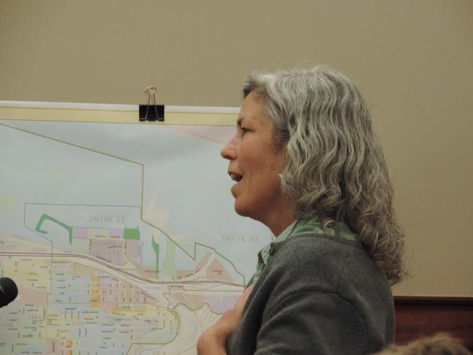 Morrison Park debate spotlights dual needs of open space, land for housing