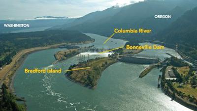 B3 pick of the weekjpeg.jpg