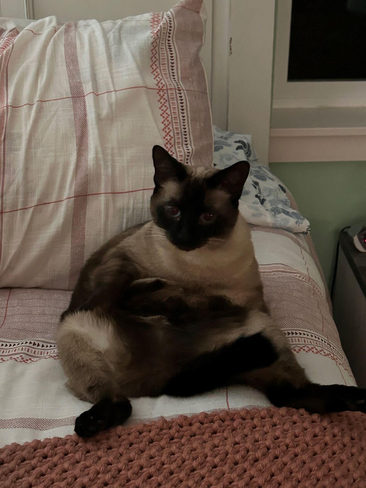 Local supermodel makes debut