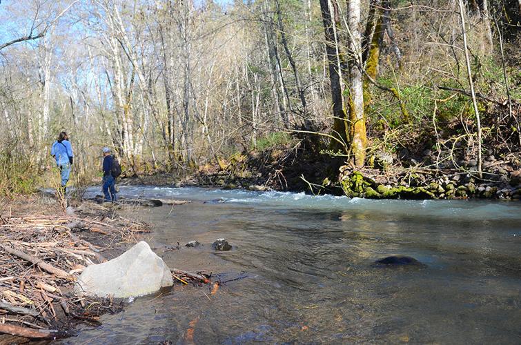 Resorting Rattlesnake Creek