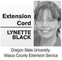 Extension cord: Summertime 4-H brings camps, fair fun