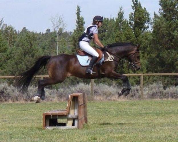 Pony Club rides, learns, together