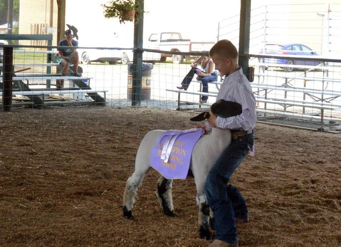 Justus Nordquist Wasco County Fair
