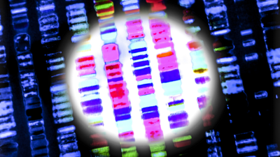 12 longevity trends that doctors are watching in 2026