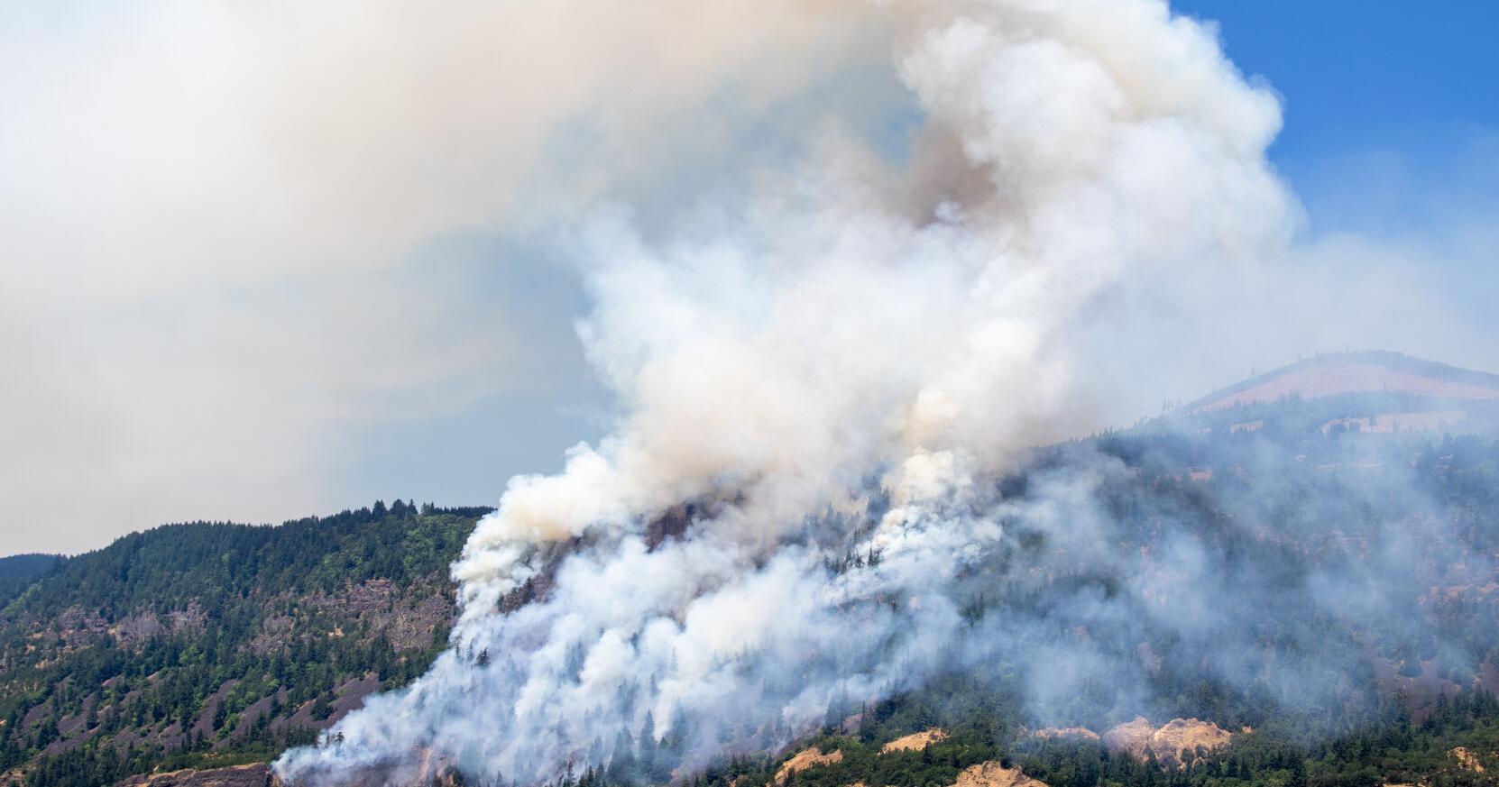 Tunnel 5 Fire cancels Fourth of July events, 5% contained - Vimarsana News