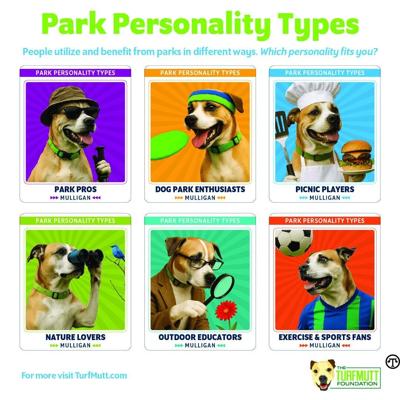 The Power of Parks: A Powerhouse for Public Health