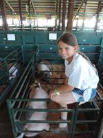 2016 Hood River County Fair, 4-H results