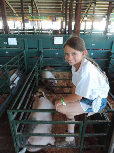 2016 Hood River County Fair, 4-H results