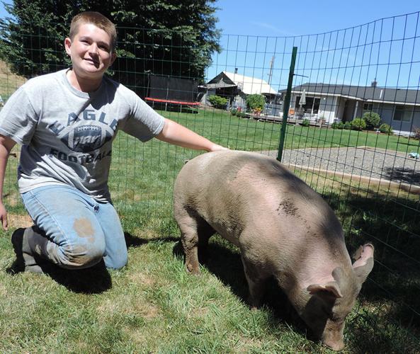Wade Pickering, 14, and family learn together and look ahead to the County Fair