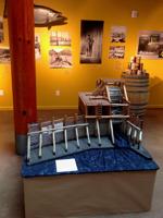 ‘Salmon Connections’ at History Museum
