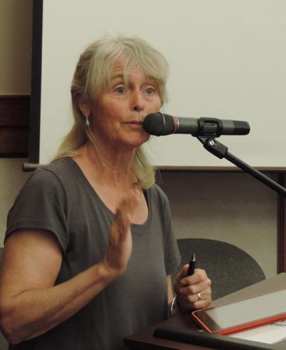 Council approves Morrison Park rezone