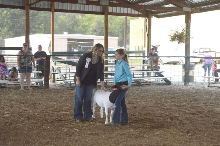 Camryn Wasco County Fair