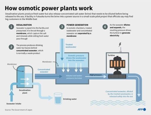 How osmotic power plants work