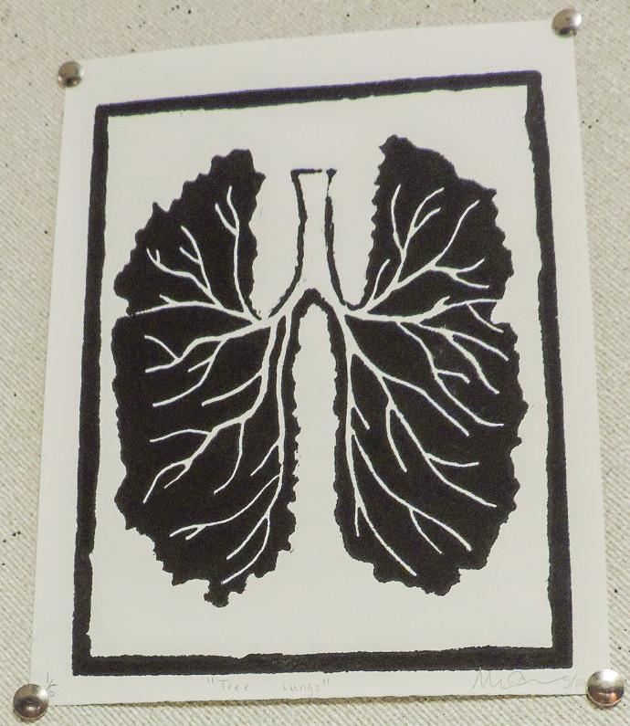 A5 WILD, craft lab, mira olson CROP TO IMAGE AT TOP.JPG