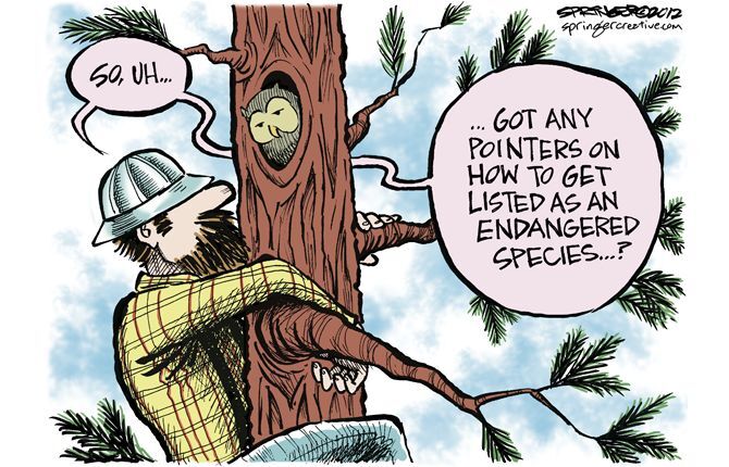 Editorial cartoons for July 18