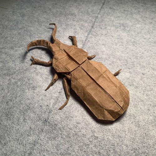 beetle origami by Elijah Perkins.jpg.jpeg