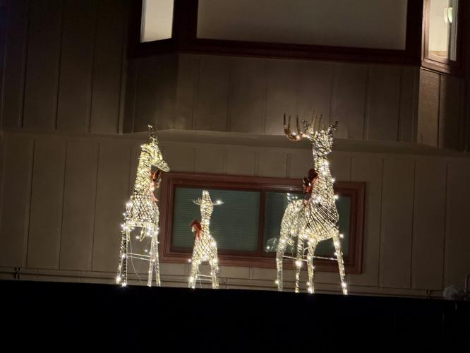 The Dalles Deer Family.jpg