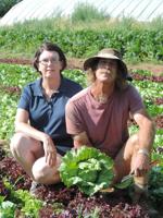 Near Parkdale, Tannenbaums bring ‘Nature’s Finest’ to valley
