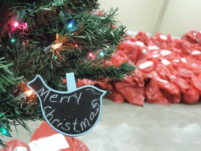 A1 Christmas project.JPG