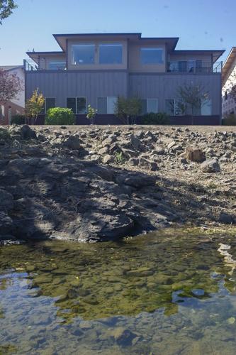 Riverfront Trail illegal clear cut