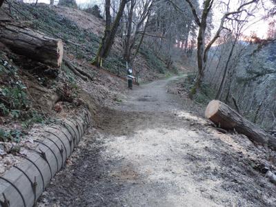 Indian Creek trail damaged
