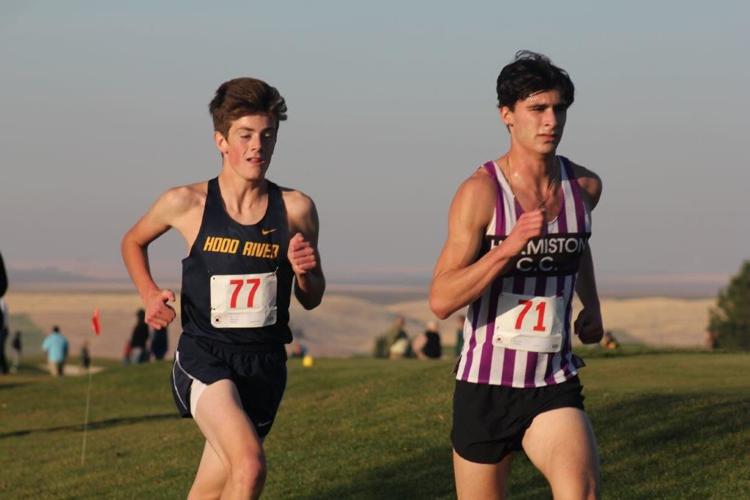 For consecutive years, HRV cross country sweep district championship