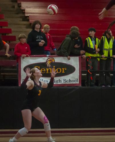 TD_vb_senior_night_0008687.jpg