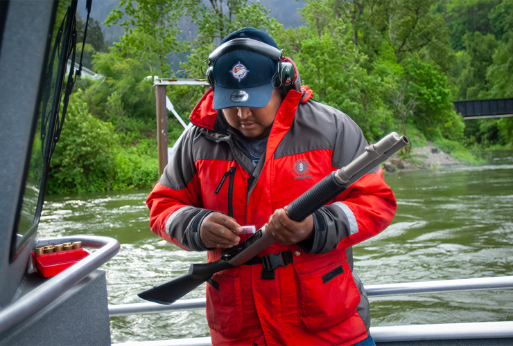 Hazing sea lions not a long-term fix