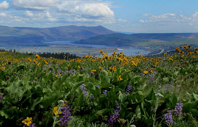 Land acquisition completes Mill Creek Ridge preservation