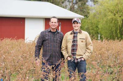 Berry Boost: Whole Foods loan funds HR Blueberry expansion