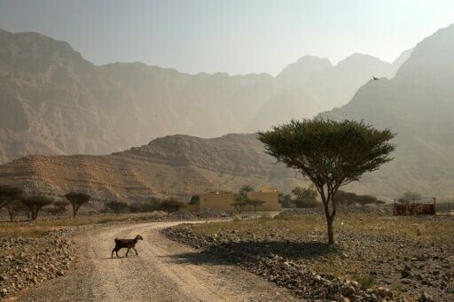 El Nino could develop before the end of the year, pushing temperatures higher