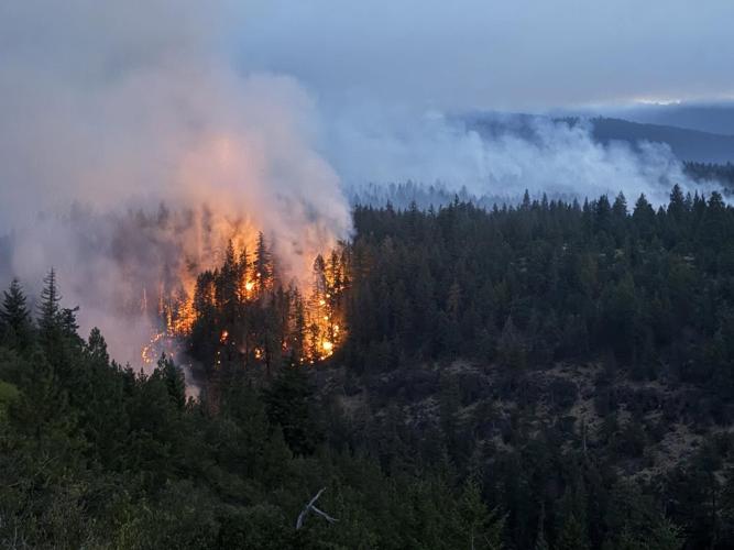 Grasshopper Fire