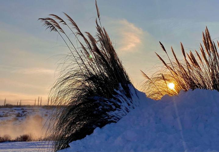 Riverfront Trail Notes #24