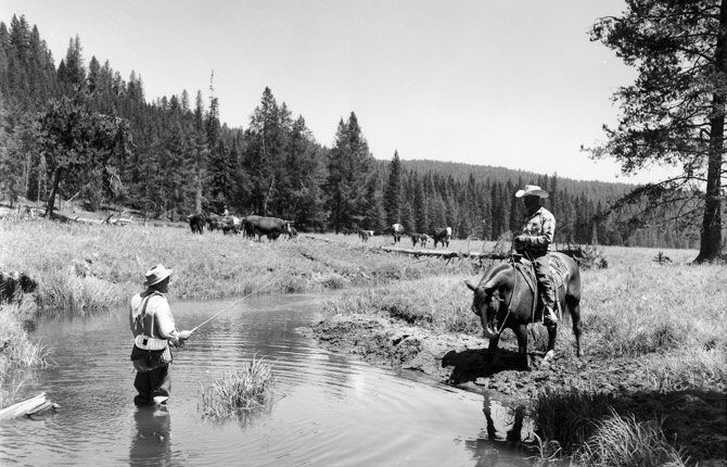 History of public lands started with grazing