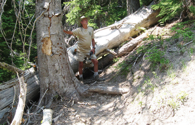 Newton Creek moraine: a secluded treasure