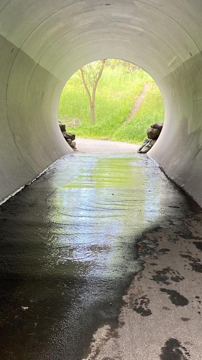 riverfront trail notes upload.jpg