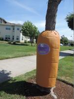 Gorge Grown Farmer’s Market comes to Hawks Ridge Fridays