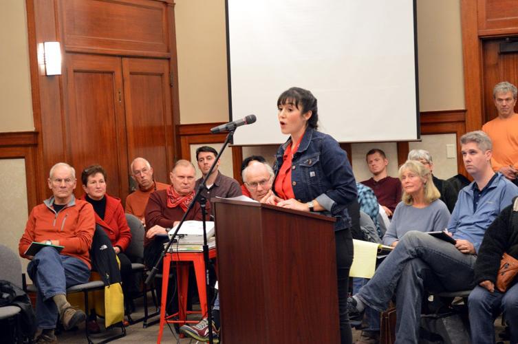 Morrison Park rezone hearing draws crowd