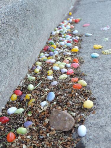 The Porch for May 20