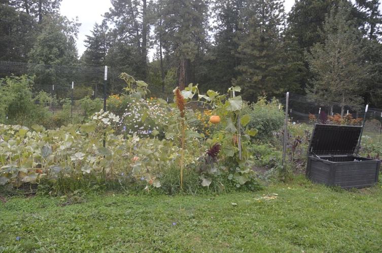 Roots School garden.JPG