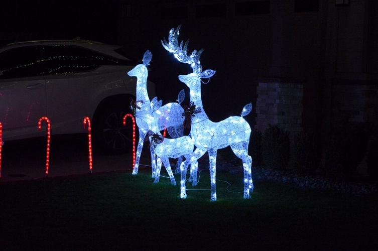 Reindeer trio Ponderosa Odell