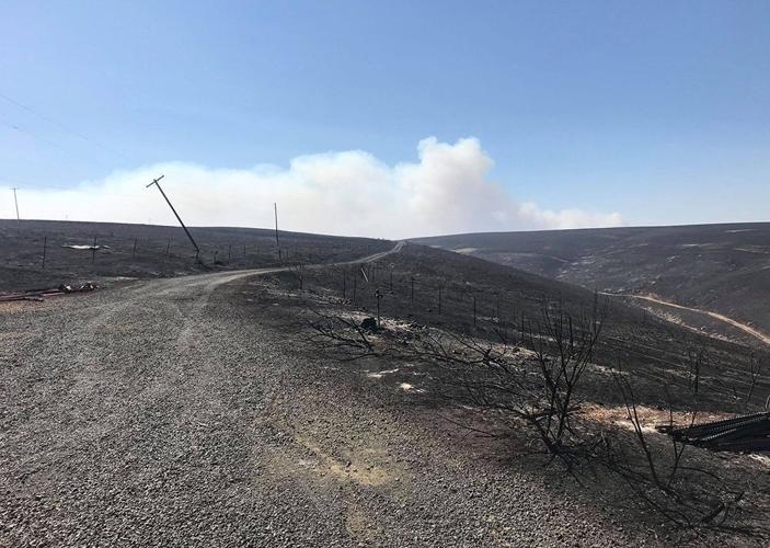 Substation Fire grows to 36,000 acres